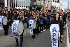 Desfile-7-de-Setembro-2026-1