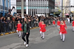 Desfile-7-de-Setembro-2026-13