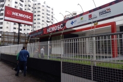 Hemosc-em-Tubarao-4