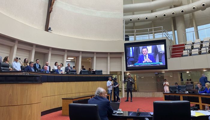 Foto Priscila Loch