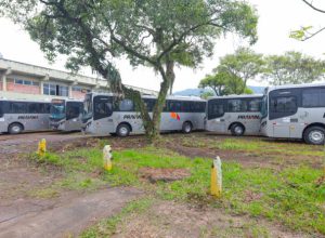 New Hope Terceirização e Transportes